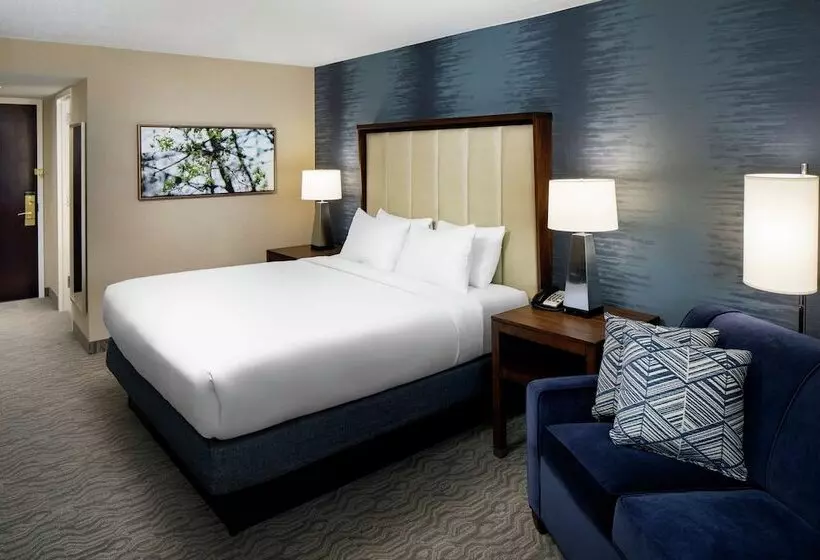 身障者適用スタンダードルーム, Doubletree By Hilton Nashua