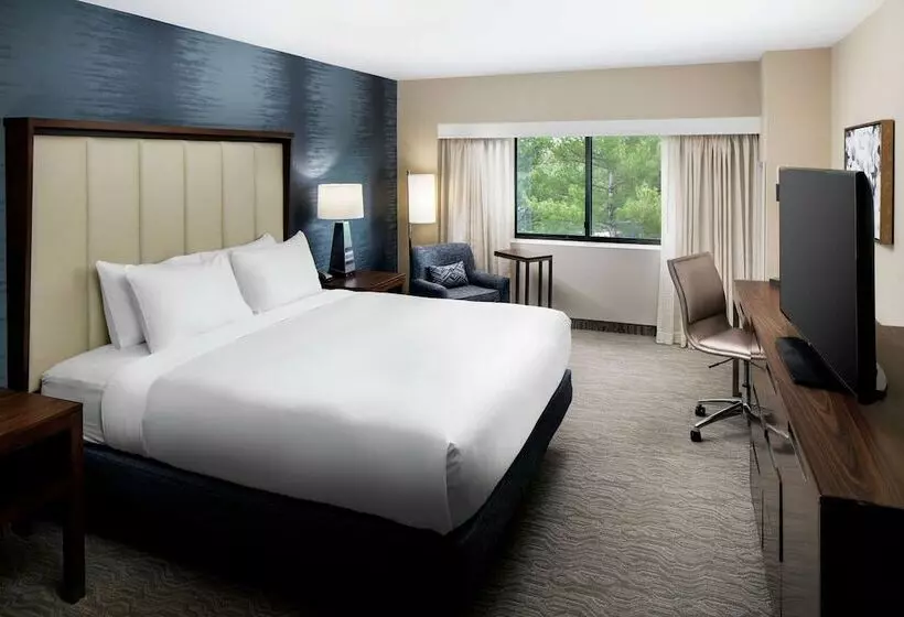 身障者適用スタンダードルーム, Doubletree By Hilton Nashua