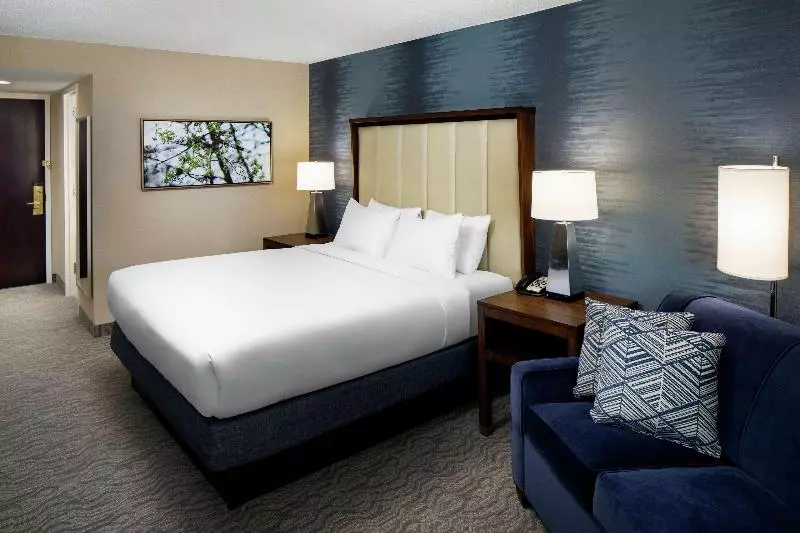キングサイズベッドのスタンダードルーム, Doubletree By Hilton Nashua