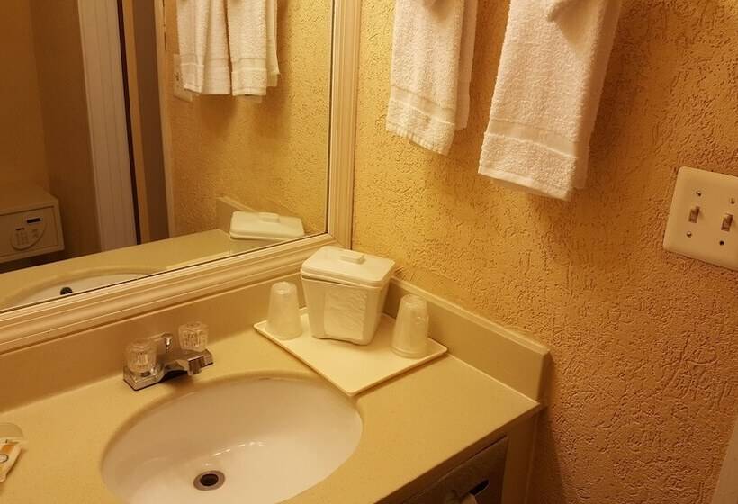 스탠다드 룸 더블 침대 2개, Econo Lodge Busch Gardens
