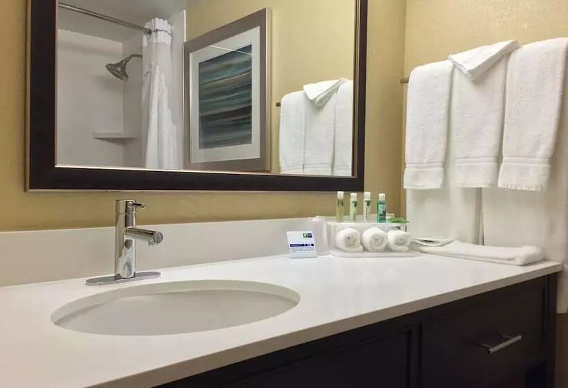 スタンダードルーム, Holiday Inn Express Chicago Nw   Arlington Heights, An Ihg