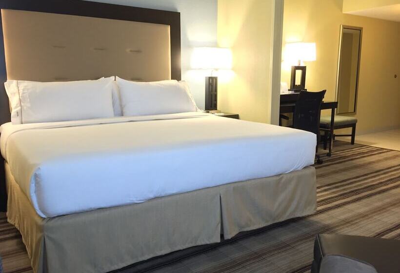 スタンダードルーム, Holiday Inn Express Chicago Nw   Arlington Heights, An Ihg