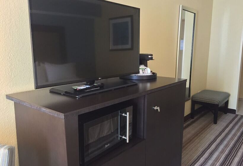 سوییت, Holiday Inn Express Chicago Nw   Arlington Heights, An Ihg