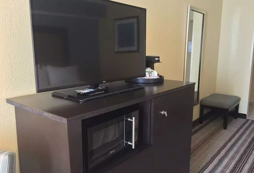 スイート, Holiday Inn Express Chicago Nw   Arlington Heights, An Ihg