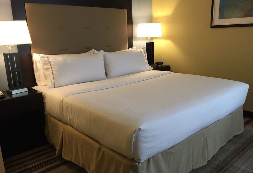 スイート, Holiday Inn Express Chicago Nw   Arlington Heights, An Ihg