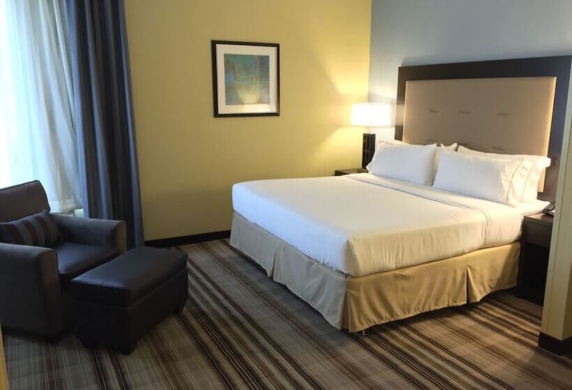 سوییت, Holiday Inn Express Chicago Nw   Arlington Heights, An Ihg
