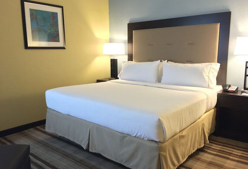 سوییت, Holiday Inn Express Chicago Nw   Arlington Heights, An Ihg