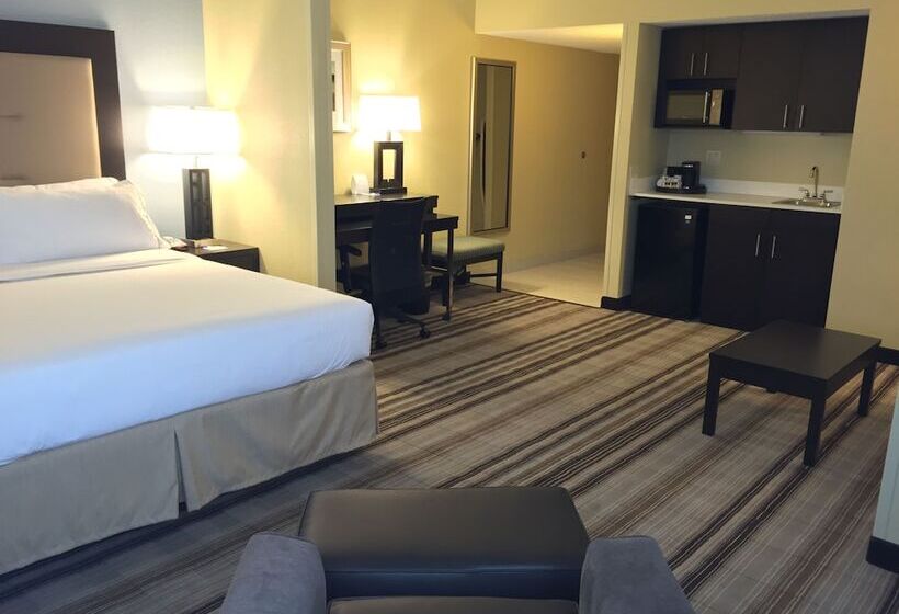 スイート, Holiday Inn Express Chicago Nw   Arlington Heights, An Ihg