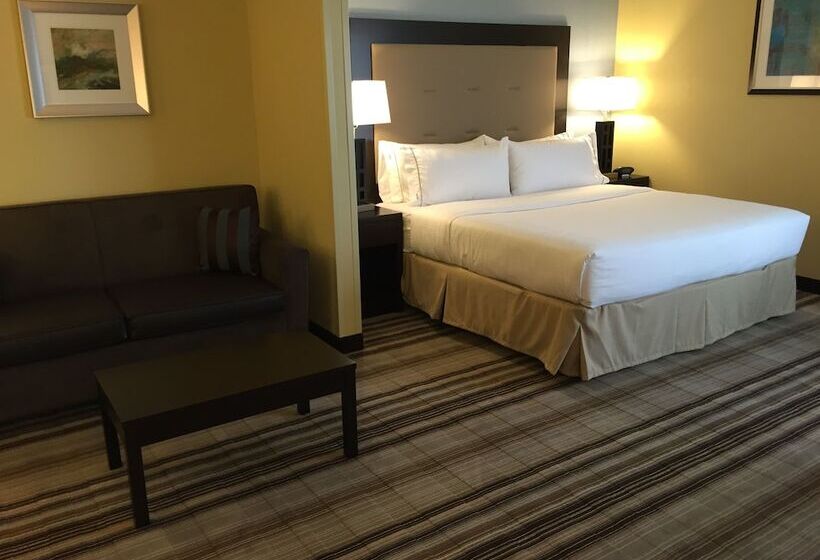 سوییت, Holiday Inn Express Chicago Nw   Arlington Heights, An Ihg