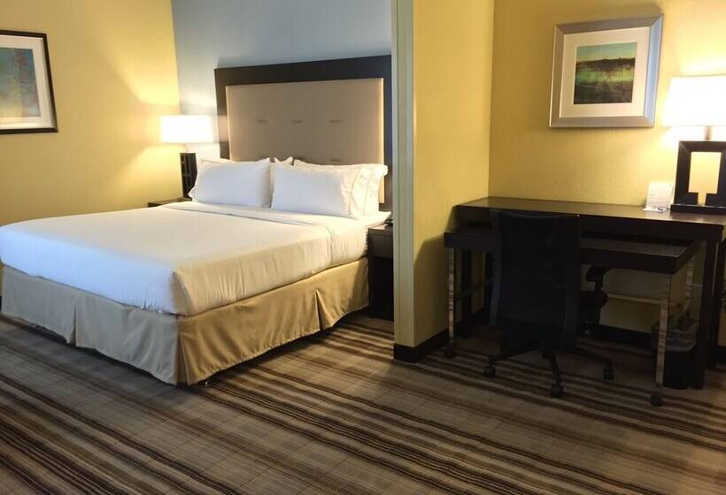سوییت, Holiday Inn Express Chicago Nw   Arlington Heights, An Ihg