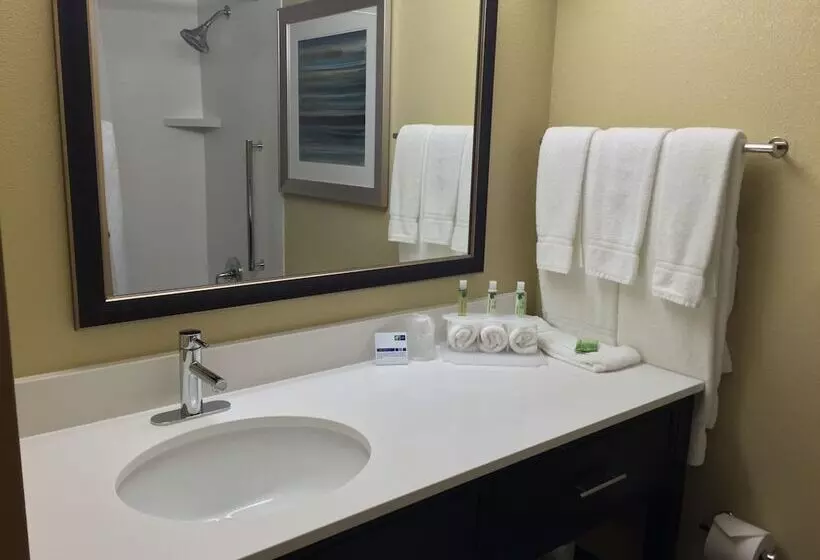 身障者適用スイートルーム, Holiday Inn Express Chicago Nw   Arlington Heights By Ihg