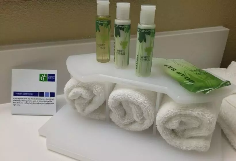 身障者適用スイートルーム, Holiday Inn Express Chicago Nw   Arlington Heights By Ihg