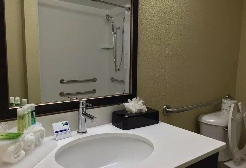 身障者適用スイートルーム, Holiday Inn Express Chicago Nw   Arlington Heights By Ihg