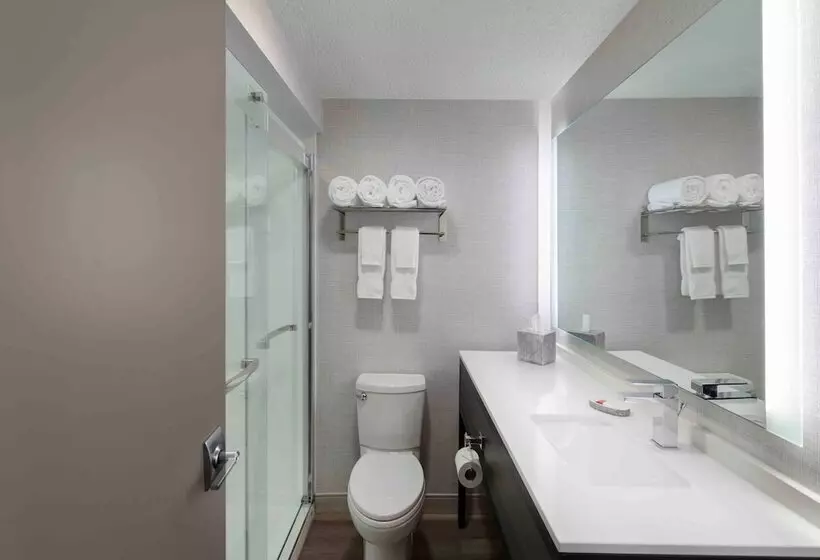 キングサイズベッドのスイートルーム, Holiday Inn Express South Burlington   Downtown, An Ihg