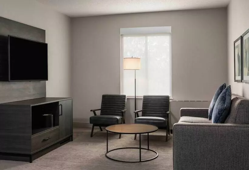 キングサイズベッドのスイートルーム, Holiday Inn Express South Burlington   Downtown, An Ihg