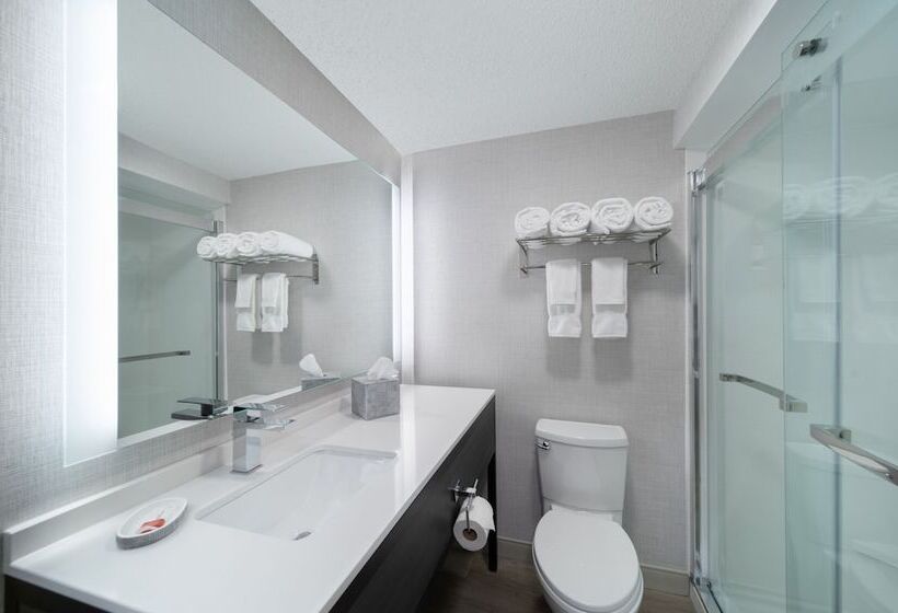 جناح سرير كينج, Holiday Inn Express South Burlington   Downtown, An Ihg