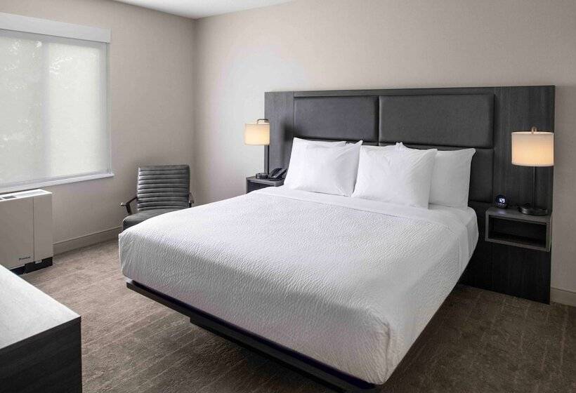 جناح سرير كينج, Holiday Inn Express South Burlington   Downtown, An Ihg
