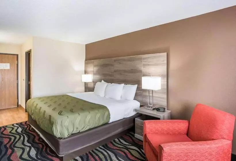 اتاق استاندارد با تخت بزرگ, Quality Inn Cedar Rapids South