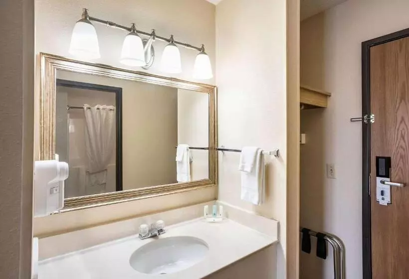 اتاق کلاس بیزنس, Quality Inn Cedar Rapids South