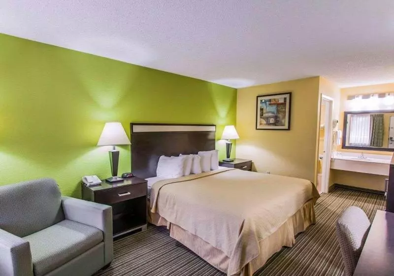 اتاق استاندارد با تخت بزرگ, Quality Inn Gainesville Near University
