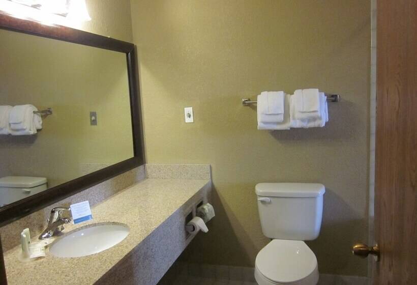 غرفه قياسيه سريرين مزدوجين, Quality Inn