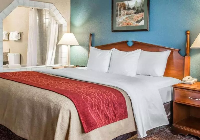 キングサイズベッドのスイートルーム, Quality Inn