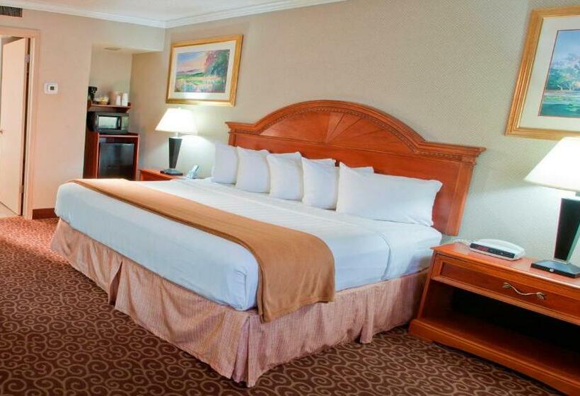 Люкс Кровать Кинг, Red Arrow Inn & Suites, A Travelodge By Wyndham