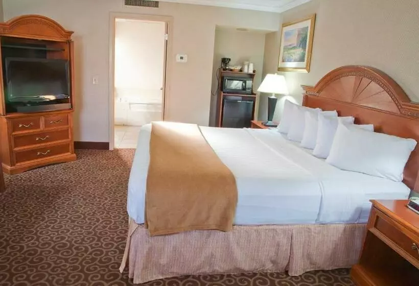 سوئیت با تخت بزرگ, Red Arrow Inn & Suites, A Travelodge By Wyndham