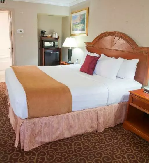 سوئیت با تخت بزرگ, Red Arrow Inn & Suites, A Travelodge By Wyndham