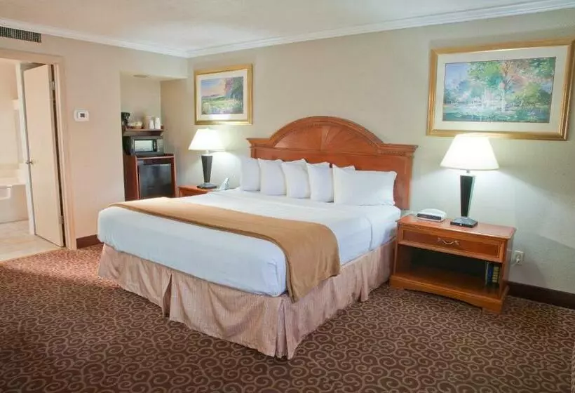سوئیت با تخت بزرگ, Red Arrow Inn & Suites, A Travelodge By Wyndham