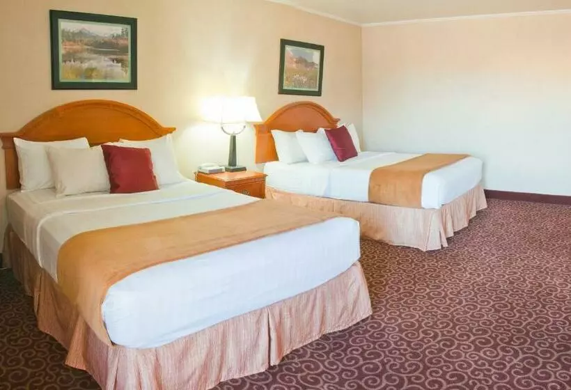 اتاق استاندارد, Red Arrow Inn & Suites, A Travelodge By Wyndham