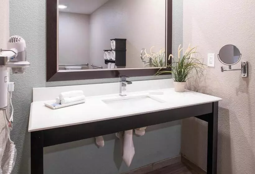 اتاق استاندارد برای معلولان, Yosemite Westgate Lodge