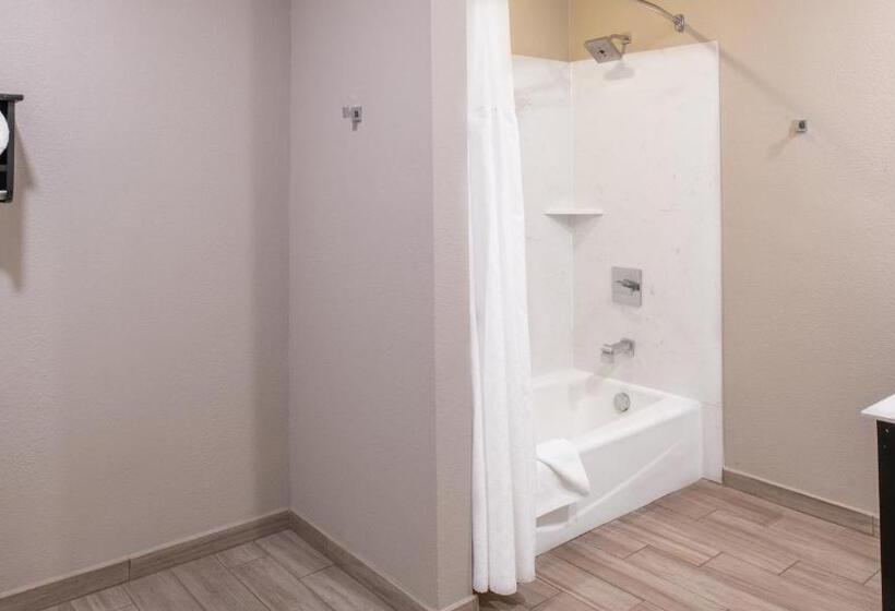 스탠다드 룸 킹사이즈 침대, Yosemite Westgate Lodge