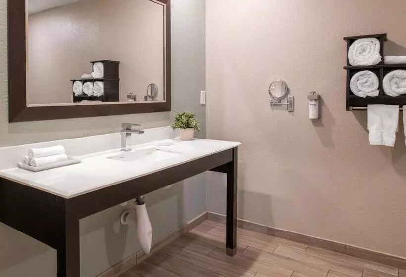 اتاق استاندارد با تخت بزرگ, Yosemite Westgate Lodge