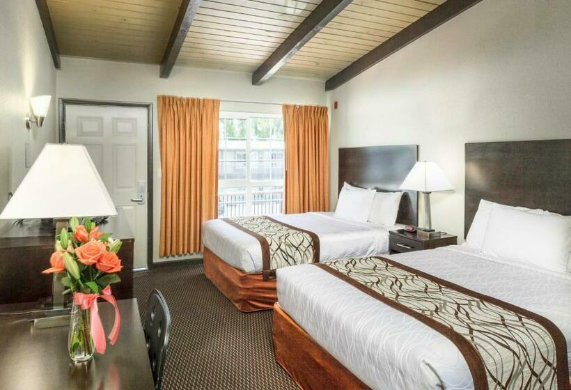 غرفة قياسية, Thunderbird Lodge