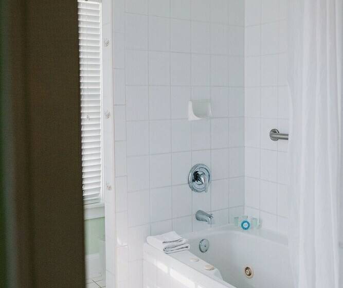 غرفة كلاسيكية سرير كينج, Amsterdam's Curry Mansion Inn