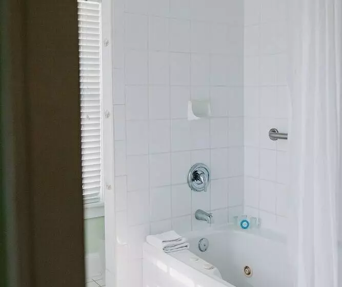اتاق کلاسیک با تخت دونفره, Amsterdam's Curry Mansion Inn