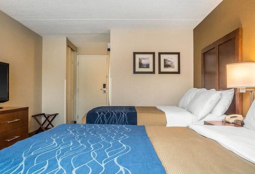 스탠다드 룸 더블 침대 2개, Comfort Inn The Pointe