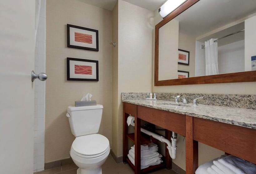 חדר סטנדרט שתי מיטות זוגיות, Comfort Inn The Pointe