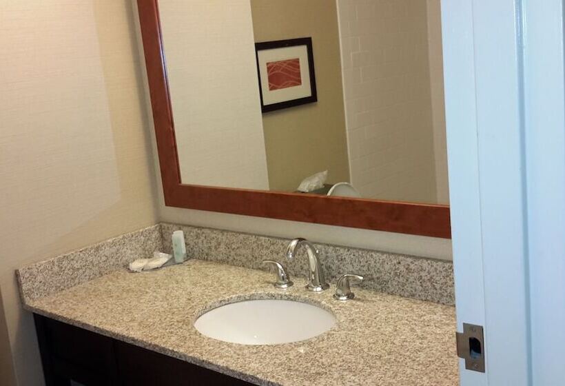 חדר סטנדרט שתי מיטות זוגיות, Comfort Inn The Pointe