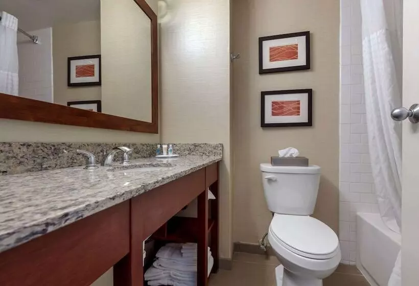 اتاق استاندارد با 2 تخت دوبل, Comfort Inn The Pointe
