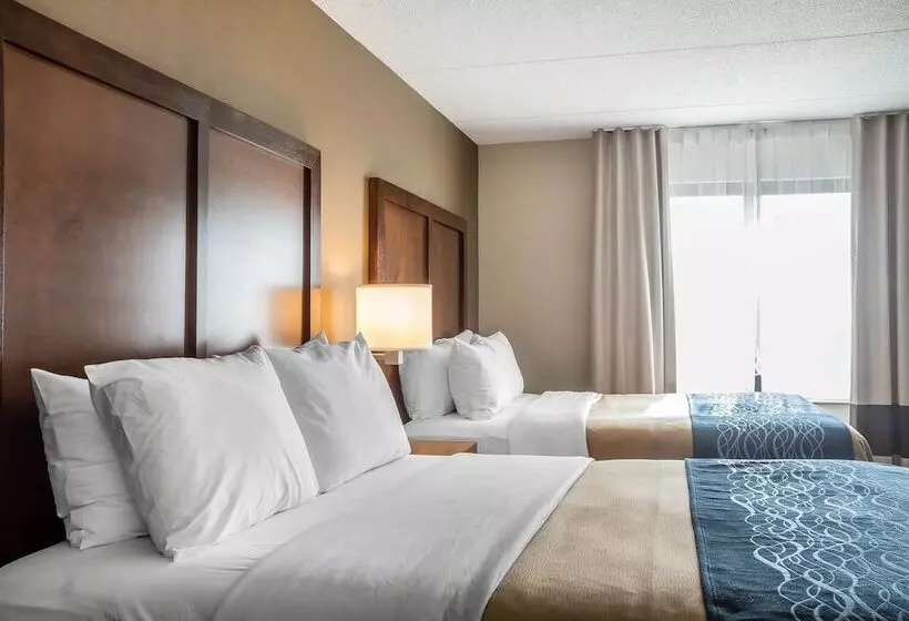 اتاق استاندارد با 2 تخت دوبل, Comfort Inn The Pointe