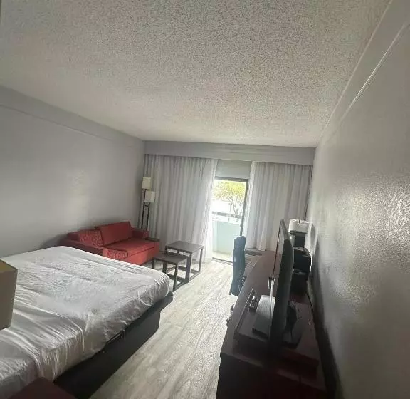 キングサイズベッドのデラックスルーム, Super 8 By Wyndham Dallas Love Field Airport