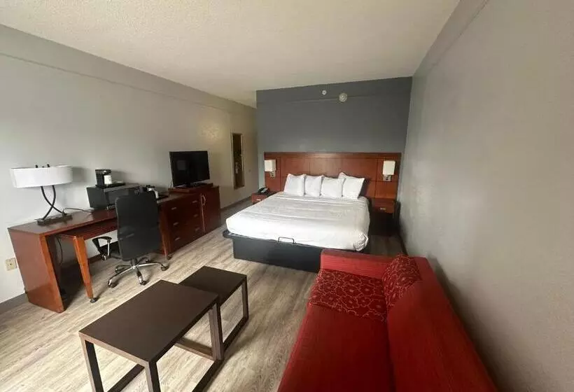 キングサイズベッドのデラックスルーム, Super 8 By Wyndham Dallas Love Field Airport
