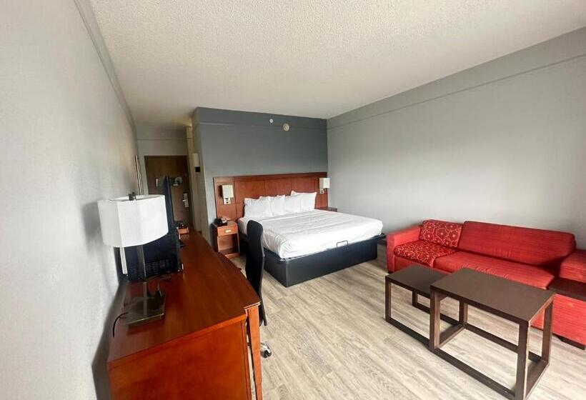 스탠다드 룸 킹사이즈 침대, Super 8 By Wyndham Dallas Love Field Airport