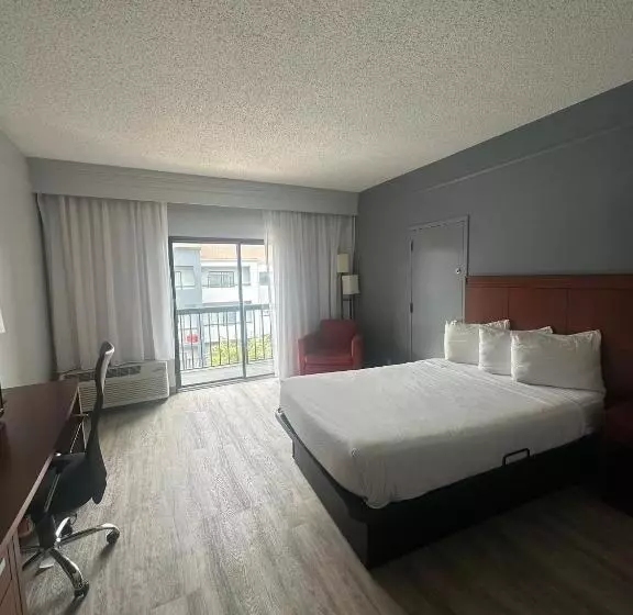 身障者適用キングサイズベッドルーム, Super 8 By Wyndham Dallas Love Field Airport