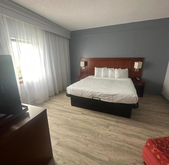 غرفة قياسية سرير كينج لذوى الإحتياجات الخاصة, Super 8 By Wyndham Dallas Love Field Airport