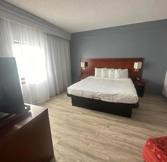 장애인을 위한 킹사이즈 침대 스탠다드 룸, Super 8 By Wyndham Dallas Love Field Airport