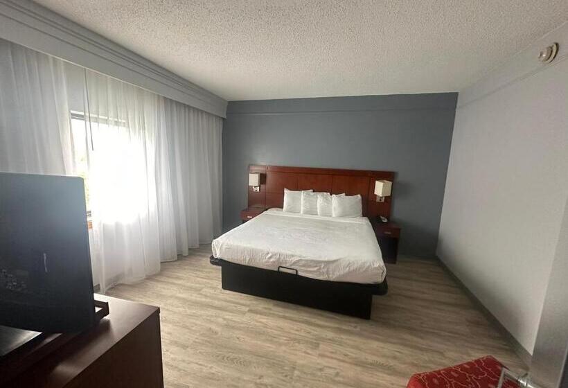 غرفة قياسية سرير كينج لذوى الإحتياجات الخاصة, Super 8 By Wyndham Dallas Love Field Airport