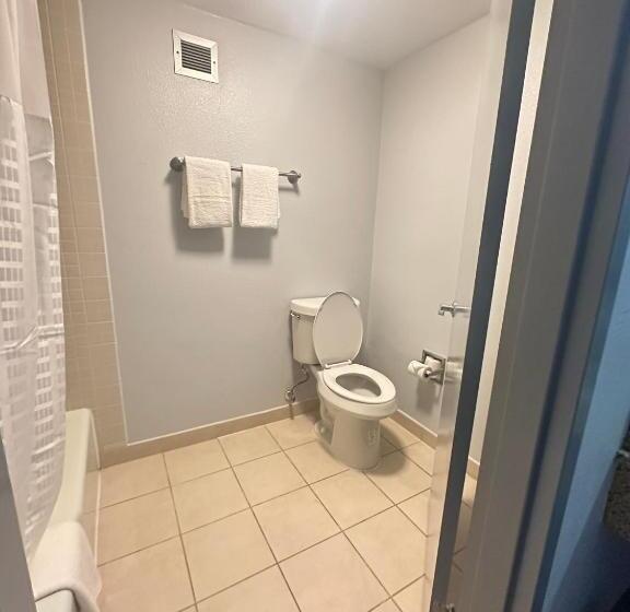 غرفه قياسيه سريرين مزدوجين, Super 8 By Wyndham Dallas Love Field Airport